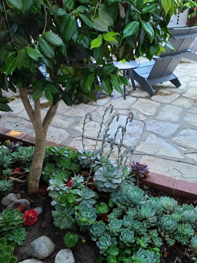 The Vagabond'S House Boutique Inn Carmel-by-the-Sea Exterior photo